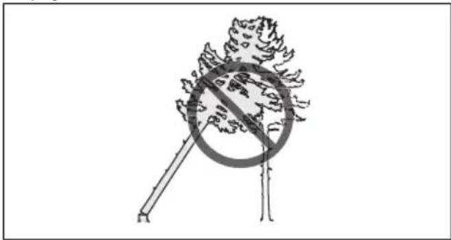 HUSQVARNA 543 XP - Calcular a direção de abate - 3