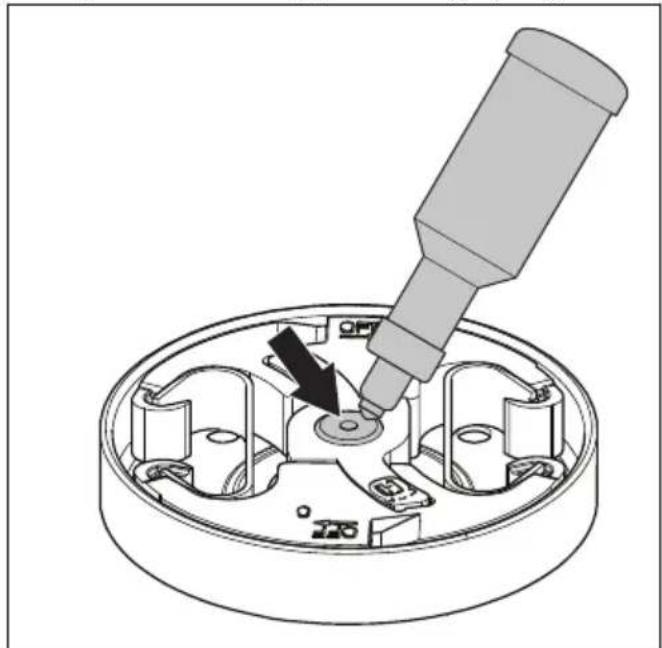 HUSQVARNA 543 XP - To lubricate the needle bearing - 1