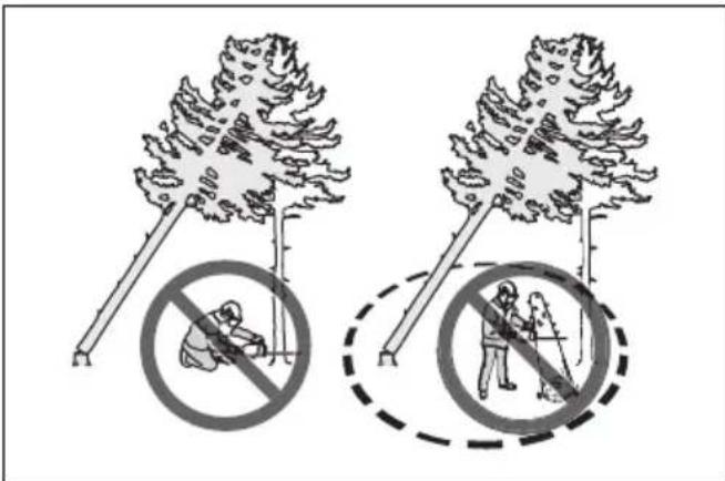 HUSQVARNA 543 XP - To free a trapped tree - 2