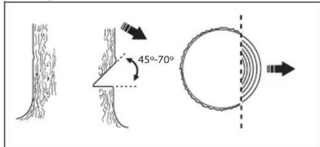 HUSQVARNA 543 XP - Richtingssneden aanbrengen - 1