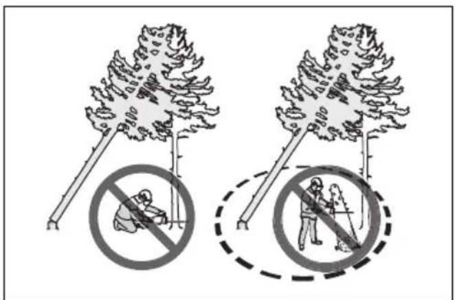 HUSQVARNA 543 XP - So befrien Sie einen eingeklemmten Baum - 2