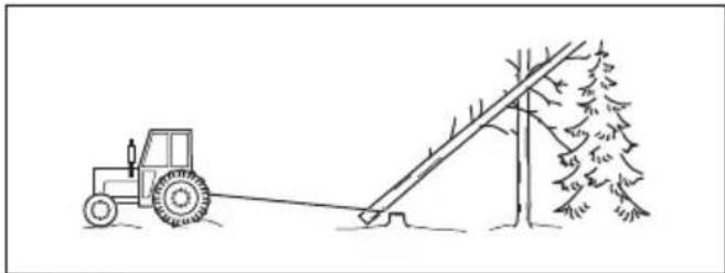 HUSQVARNA 543 XP - Libertar una arvore presa - 3