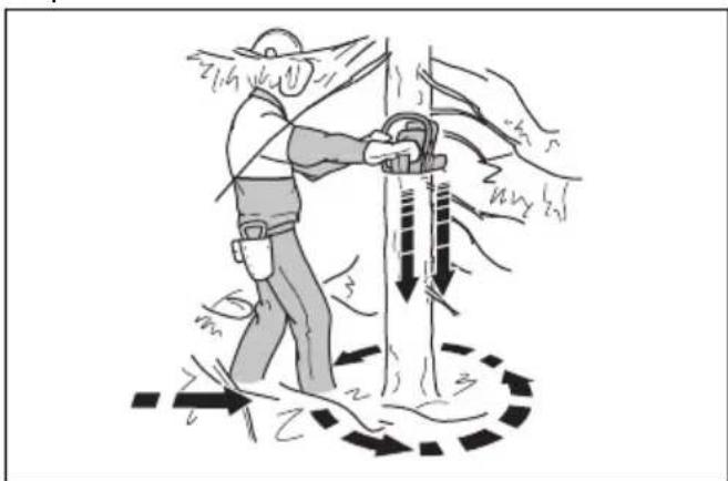 HUSQVARNA 543 XP - Libertar o tronco e preparar o percirso de retirada - 1