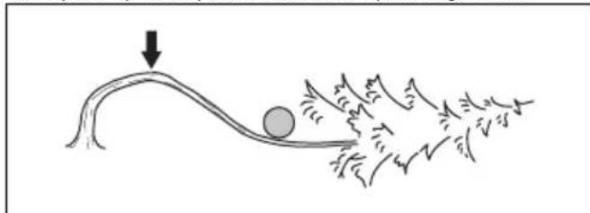 HUSQVARNA 543 XP - Bomen en takken zagen die onder spanning staan - 1