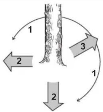 HUSQVARNA 543 XP G - Libertar o tronco e preparar o percurso de retirada - 2