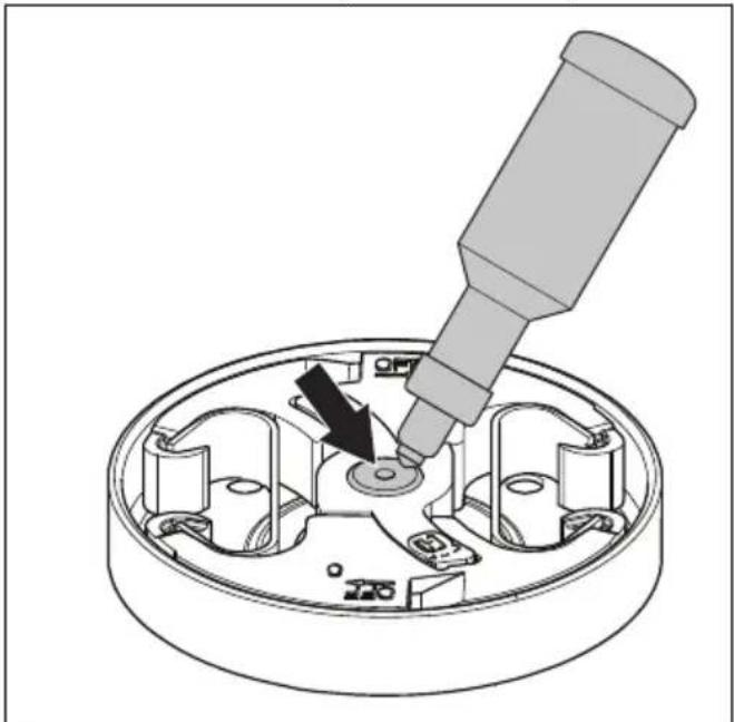 HUSQVARNA 543 XP G - Mazanje igličastega ležaja - 1