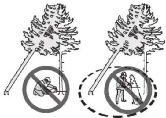 HUSQVARNA 543 XP G - Libertar uma árvore presa - 2