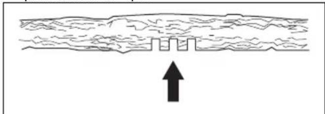 HUSQVARNA 543 XP G - Cortar árvores e ramos sob tensão - 5