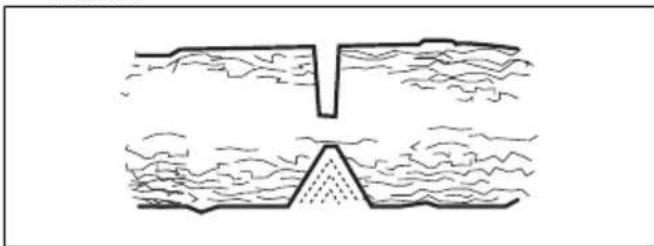 HUSQVARNA 543 XP G - Cortar árvores e ramos sob tensão - 3