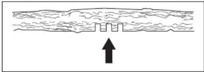 HUSQVARNA 543 XP G - Taglio di tronchi e rami in tensione - 5