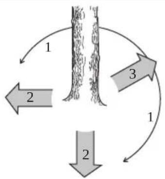 HUSQVARNA 543 XP G - Čiščenje hloda in priprava poti umika - 2
