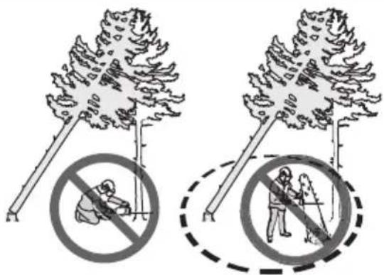 HUSQVARNA 543 XP G - Liberación de un árbol atascado - 2