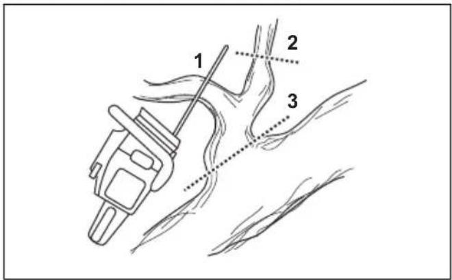 HUSQVARNA 543 XP G - To use the limbing technique - 3