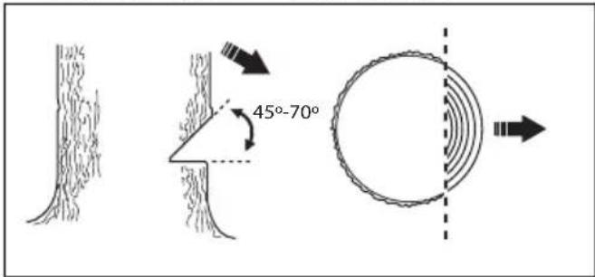 HUSQVARNA 543 XP G - Esecuzione dei tagli direzionali - 1