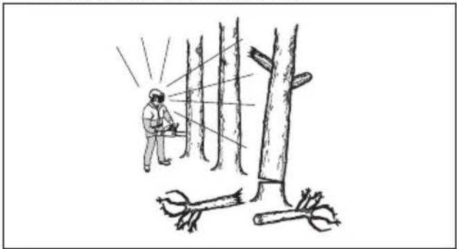 HUSQVARNA 543 XP G - Manter uma distância segura - 2