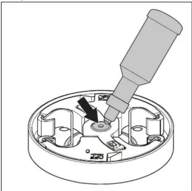 HUSQVARNA 543 XP G - Lubricación del cojinete de agujas - 1