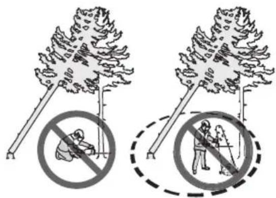 HUSQVARNA 543 XP G - To free a trapped tree - 2