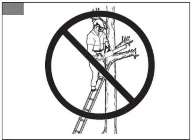 Prohibition sign with pictogram of a worker climbing a tree branch, crossed out by a diagonal line