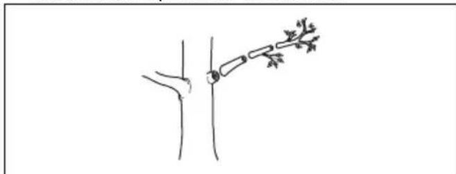HUSQVARNA 115iPT4 - Élagage des branches - 3