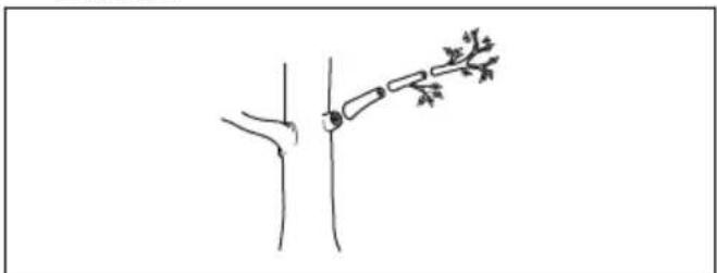 HUSQVARNA 115iPT4 - So schneiden Sie Åste - 3