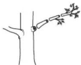 HUSQVARNA 115iPT4 - To cut branches - 3