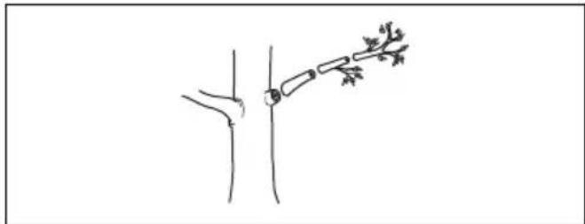 HUSQVARNA 115iPT4 - Per tagliare i rami - 3