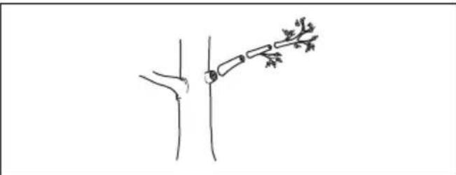 HUSQVARNA 115iPT4 - Cortar ramos - 3