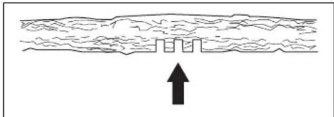 HUSQVARNA 120i - Frigjore et fastsatt tre - 6
