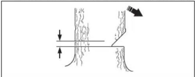 HUSQVARNA 120i - Realizacion del corte de derribo - 1