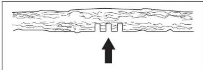 HUSQVARNA 120i - Cortar árvores e ramos sob tensão - 6