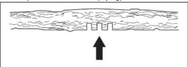 HUSQVARNA 120i - Corte de árboles y ramas tensos - 6