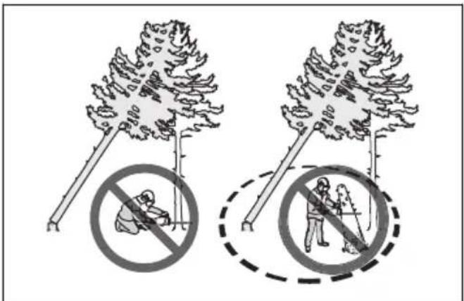 HUSQVARNA 120i - Liberación de un árbol atascado - 2
