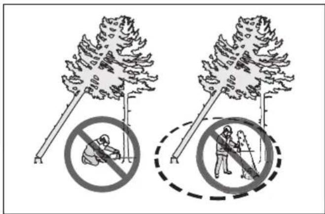 HUSQVARNA 120i - Liberazione di un albero intrappolato - 2