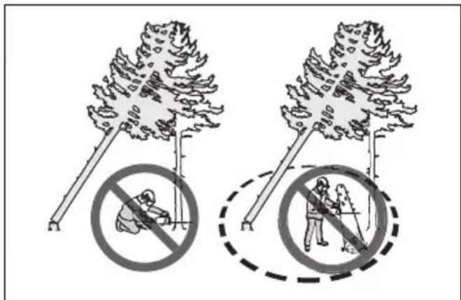 HUSQVARNA 120i - Dégagement d'un arbre bloqué - 2