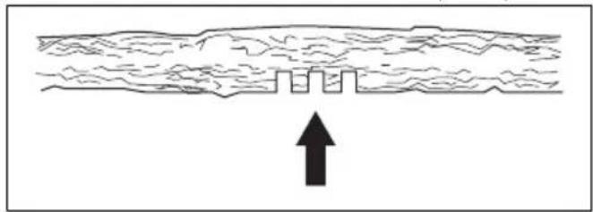 HUSQVARNA 120i - Bomen en takken zagen die onder spanning staan - 6