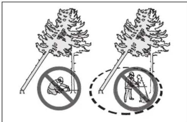 HUSQVARNA 120i - So befren Sie einen eingeklemmten Baum - 2
