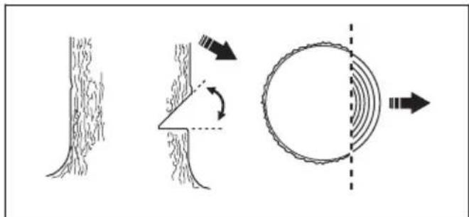 HUSQVARNA 120i - Cortes direccionais - 2