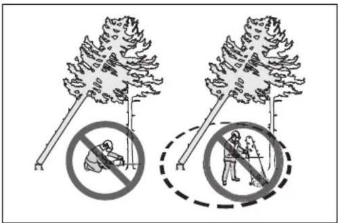 HUSQVARNA 120i - To free a trapped tree - 2