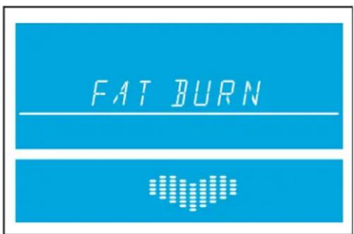 Life Fitness RS3 Go - Exercice Fat Burn (Élimination des graisses) - 1