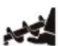 STIGA ST 6272 P TRAC - ADVARSEL! - 6
