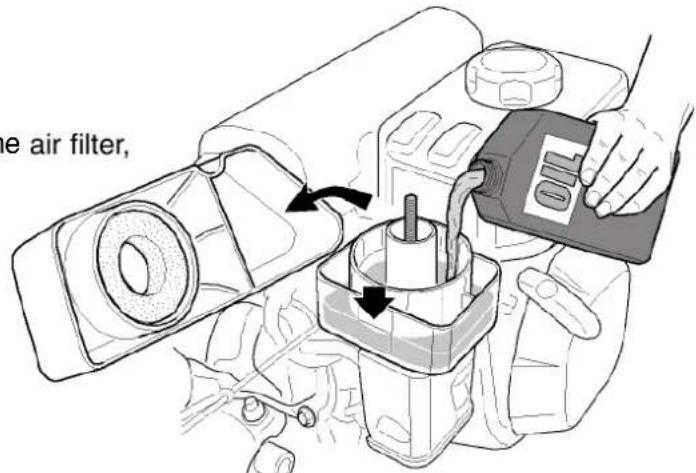 STIGA SRC 685 RG - Checking the air filter in oil bath - 1