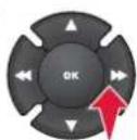 DS 3 (2013) - RECEVOIR UN APPEL - 3