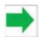 DS 3 (2013) - Indicateurs de direction - 1