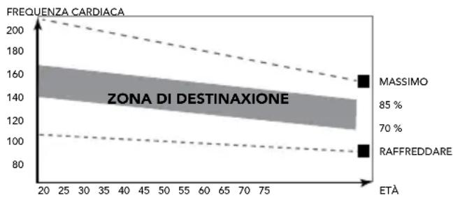 TUNTURI Compentence T10 - La fase dell'esercizio - 1