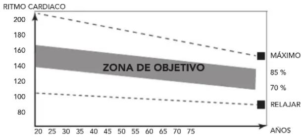 TUNTURI Competence C20R - Fase de ejercicio - 1