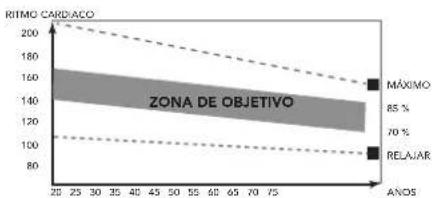 TUNTURI Performance C65F - Fase de ejercicio - 1