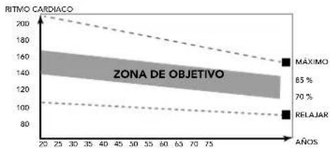 TUNTURI Cardio Fit R60w - Fase de ejercicio - 1