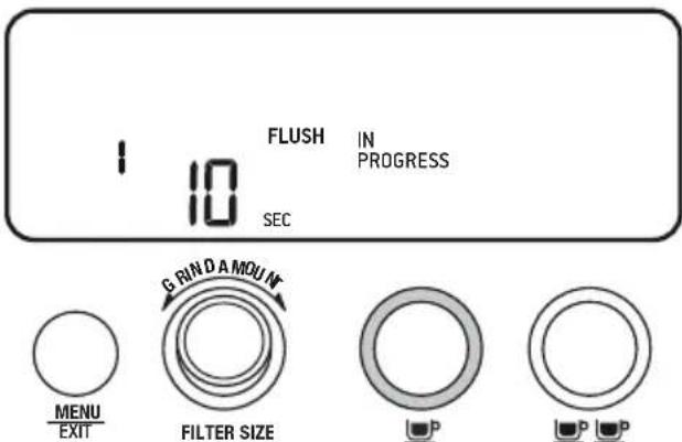 BREVILLE the Barista Pro BES878 - First Use Flush Cycle - 1