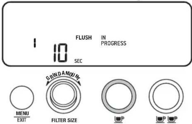 BREVILLE the Barista Pro BES878 - Ciclo de descarga de primer uso - 1