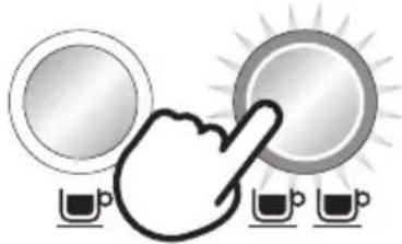 BREVILLE The Dual Boiler BES920 - CUP BUTTON - 2